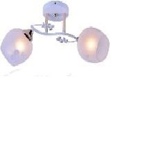 Светильник  Сфера 1077В/2 белый НПБ 04-2х60-121